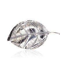 Sidabrinė sagė, 13.8 g, Sidabras 925 praba, oksidas (padengti)